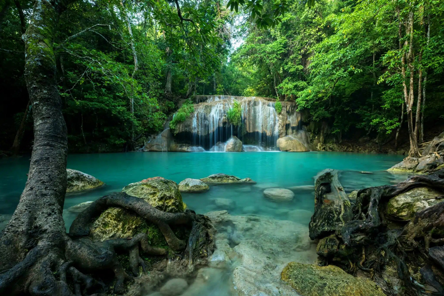 Parco Nazionale Khao Sok