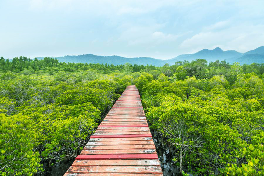 Il famoso Parco Nazionale di Koh Chang