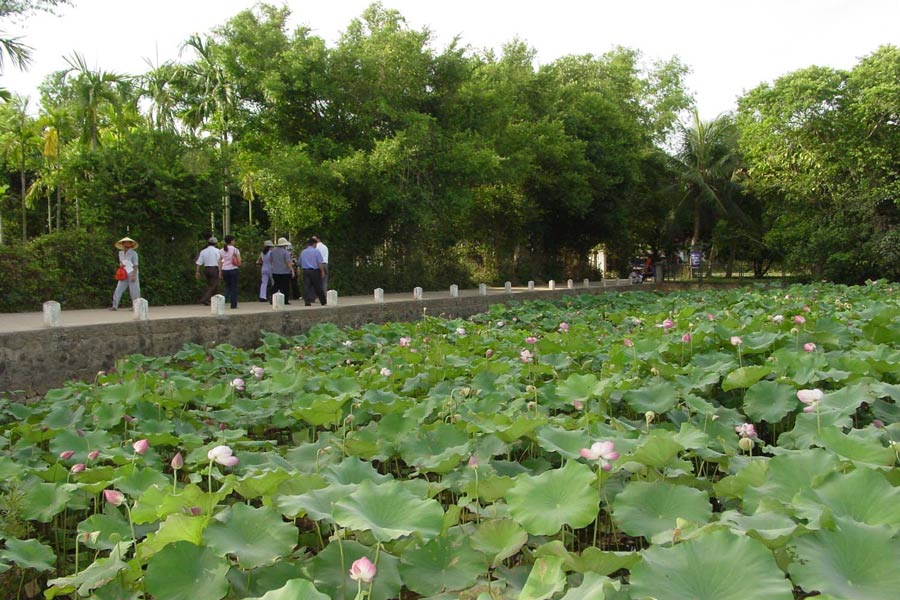 Panoramica sul clima del villaggio di Hoang Tru