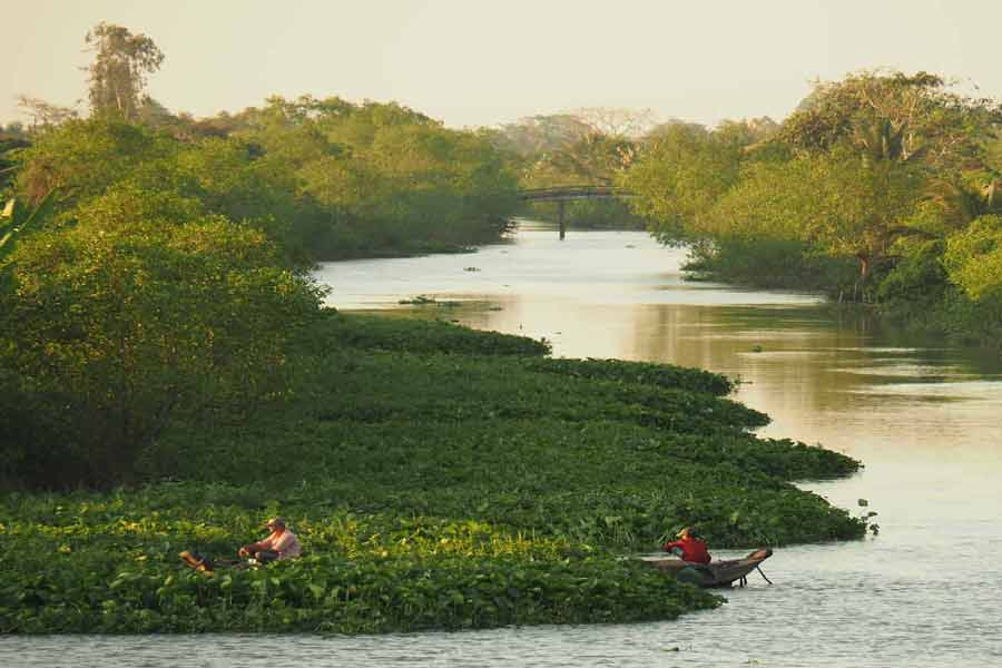 Paronamica di Vinh Long