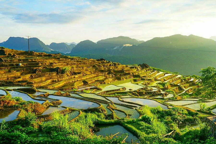 Bellissimi campi terrazzati a Pu Luong