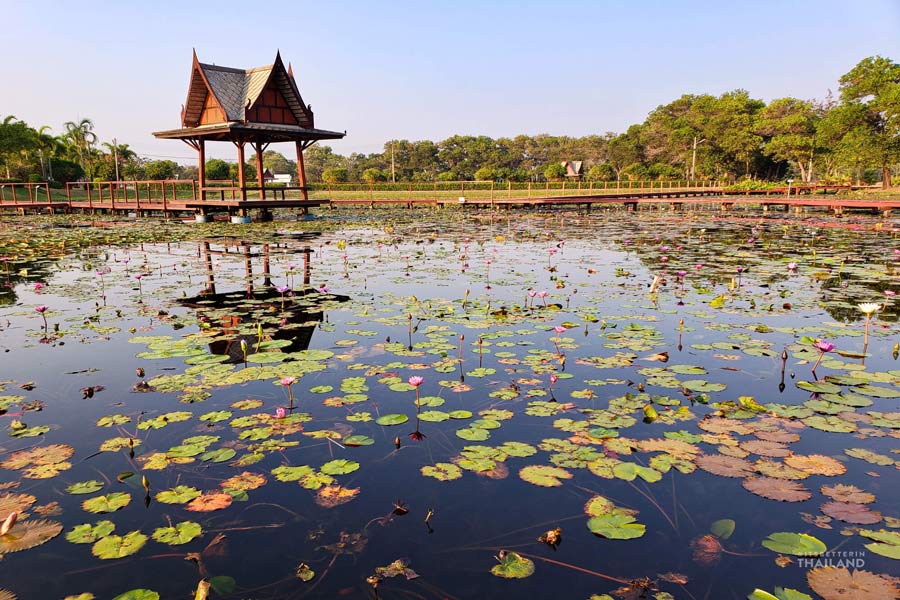 La bellezza naturale di Sakhon Nakhon