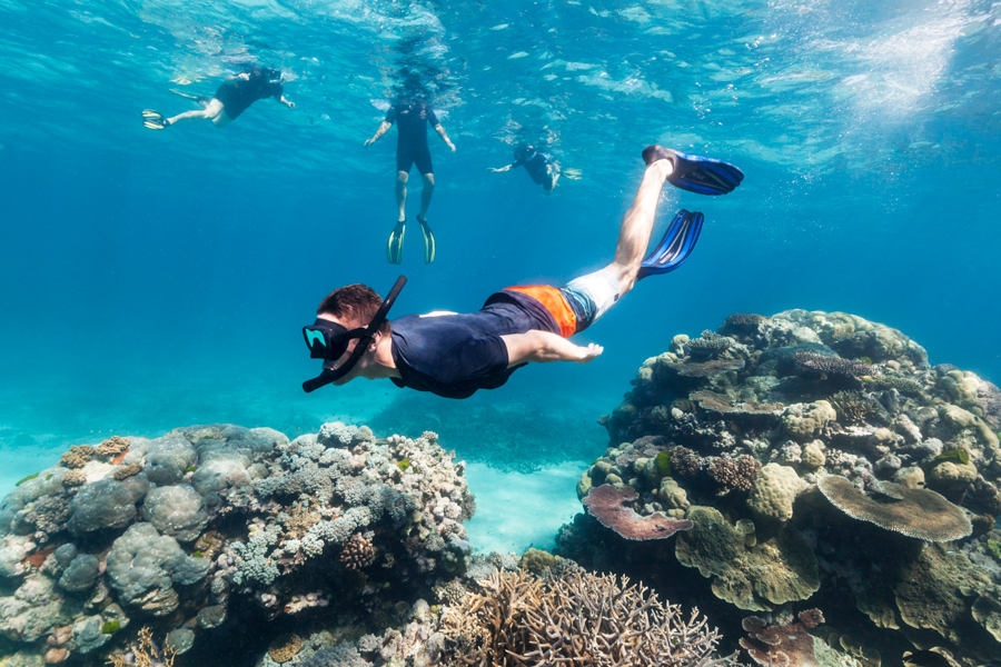 Snorkeling con i coralli 