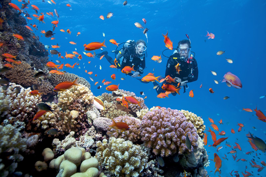 L'isola di Con Dao e Phu Quoc