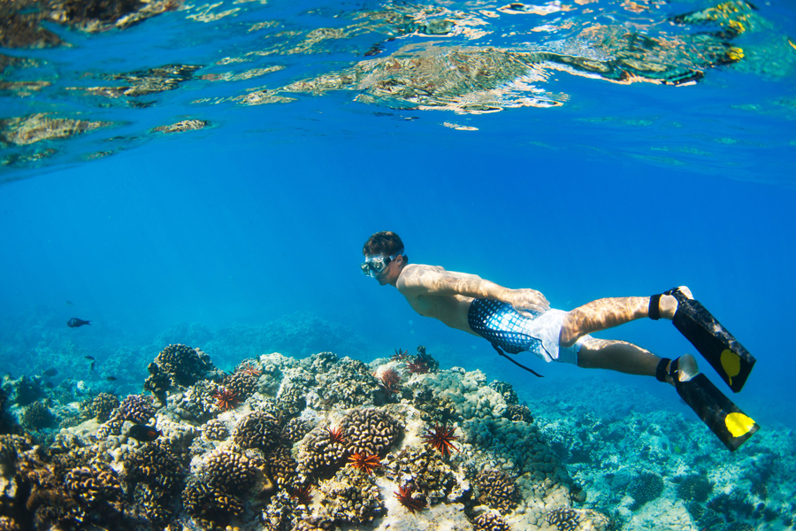 Snorkeling e immersioni alla spiaggia di Kamala