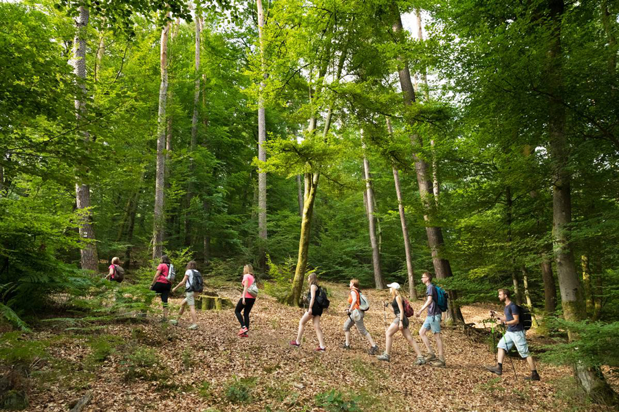 Fare il trekking nel parco