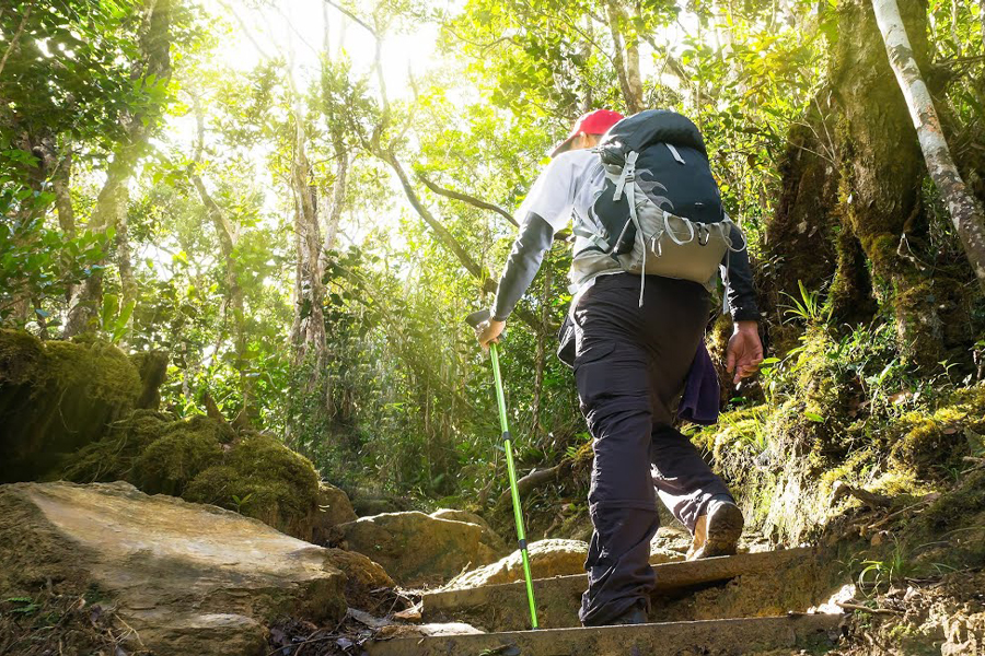 Fare trekking tra la natura