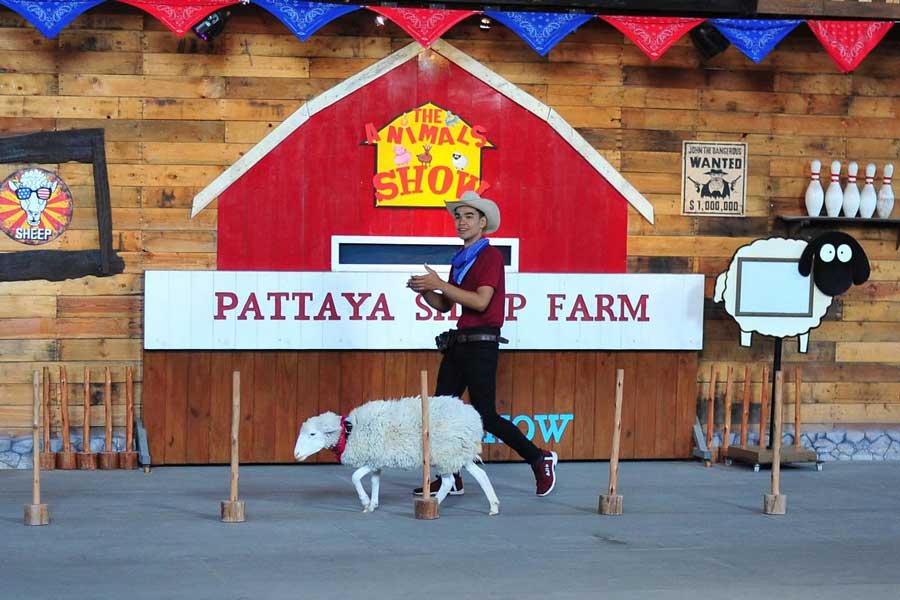 Gli spettacoli circensi a Family Park Pattaya