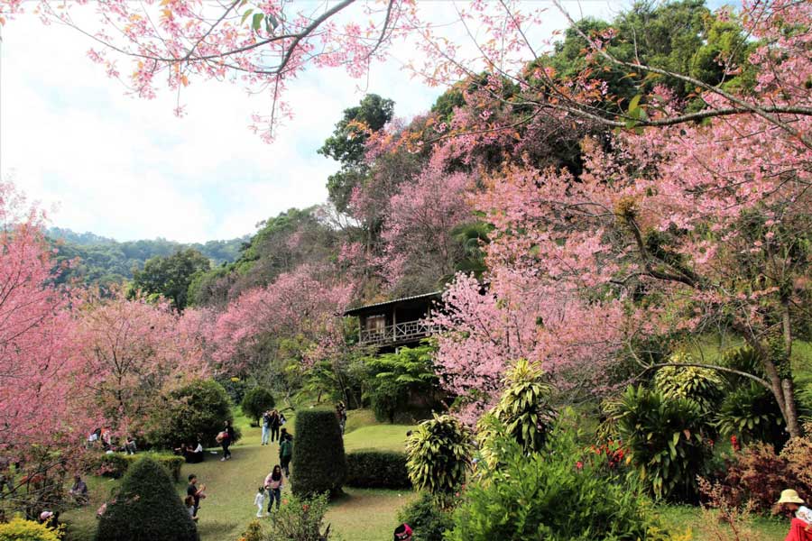 Doi Suthep-Pui National Park