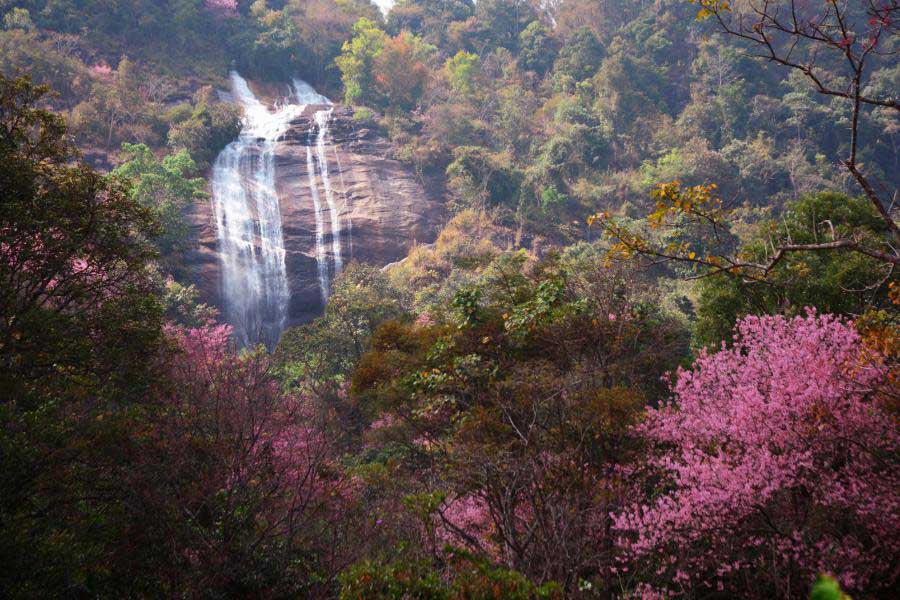 Doi Inthanon