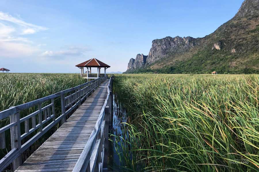 Passeggiare lungo le risaie a Khao Sam Roi Yot