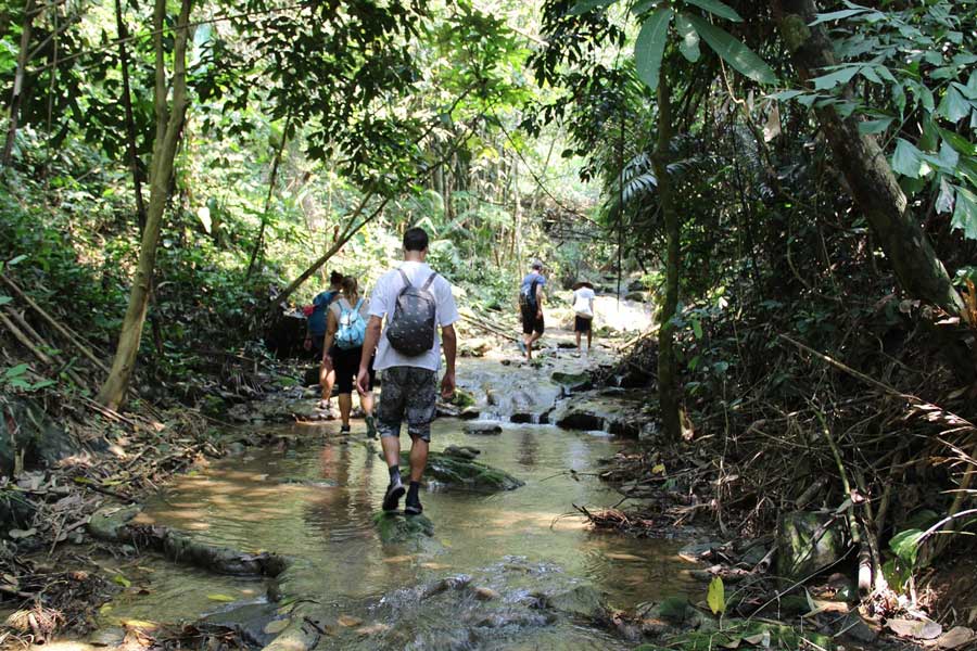 Esplora la natura selvaggia del Laos