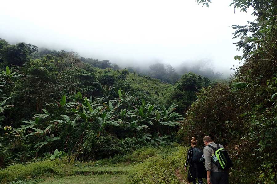 Trekking nella Valle di Nam Ou